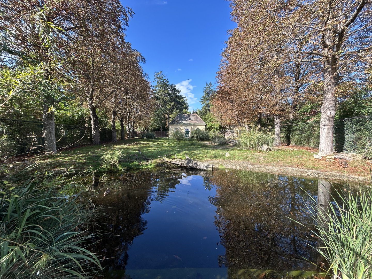 North African Ostrich Exhibit