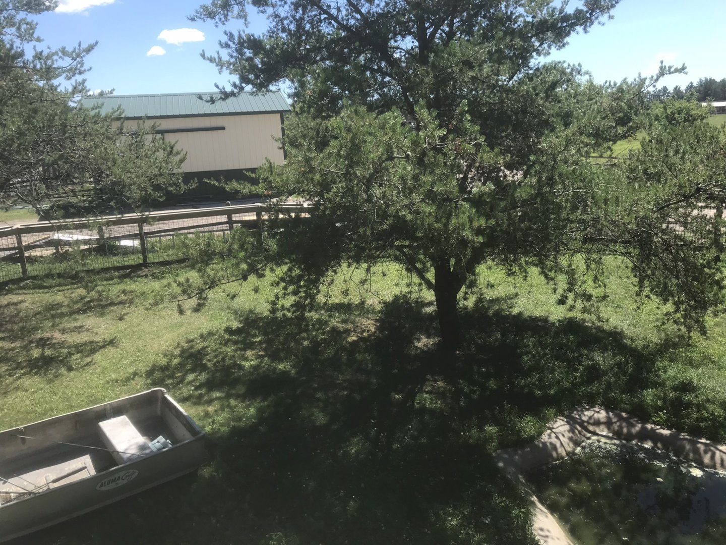 “North America” - American Aligator Exhibit