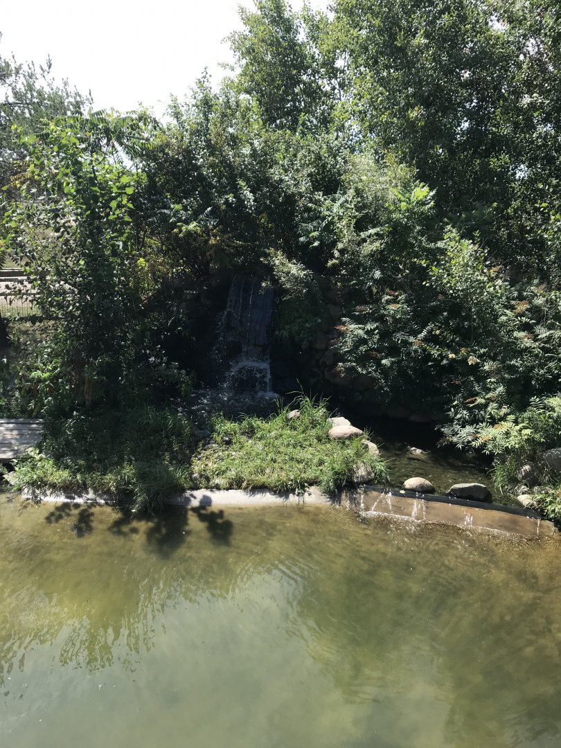 “North America”- American alligator exhibit