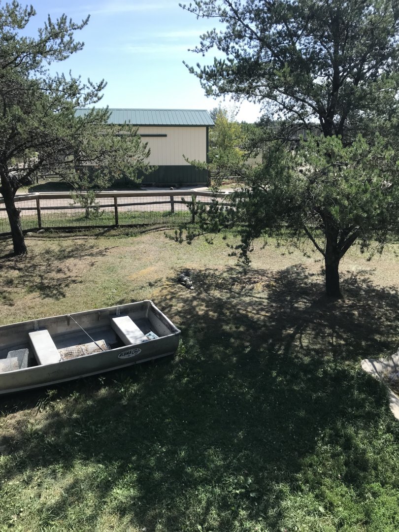 “North America”- American alligator exhibit