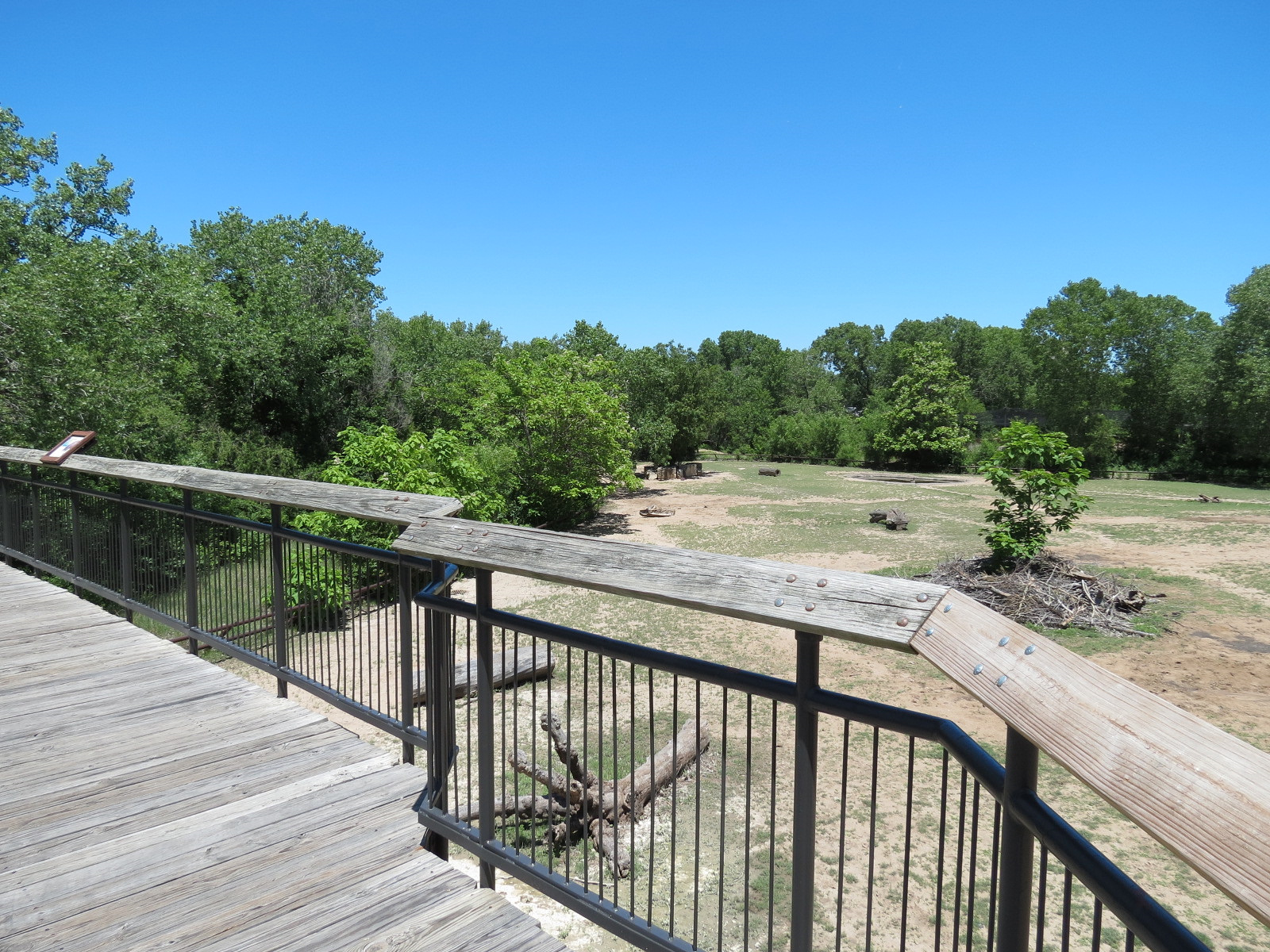 North America - American Bison Exhibit Viewing Boardwalk