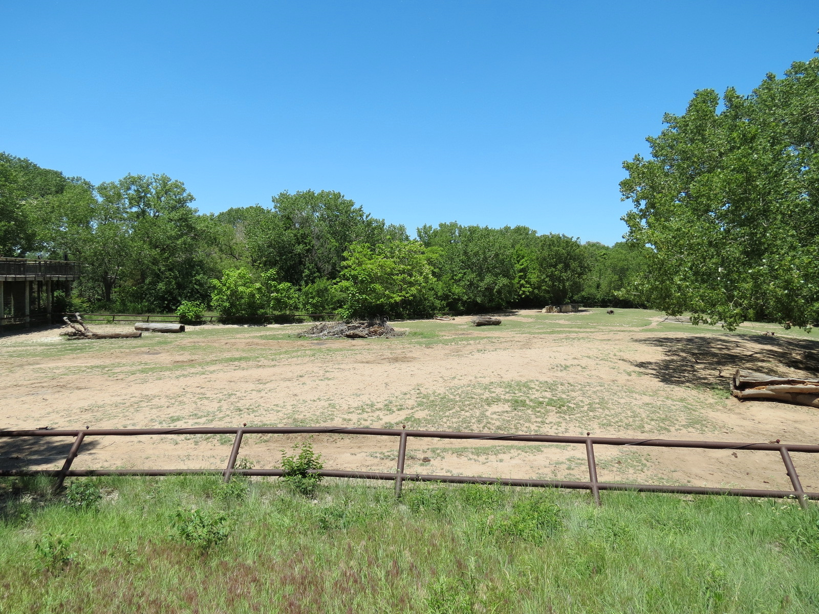 North America - American Bison Exhibit