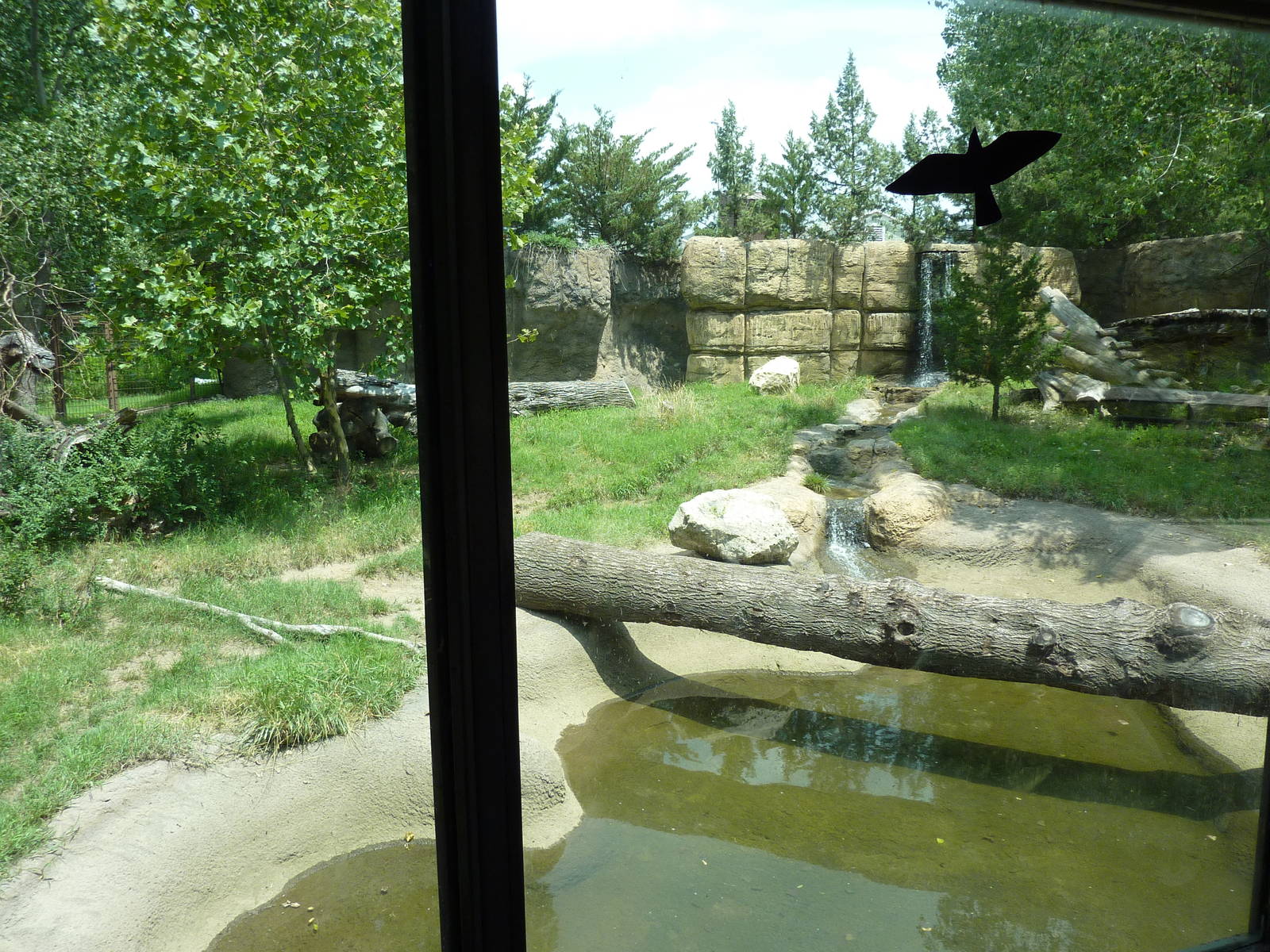 North America - American Black Bear Exhibit