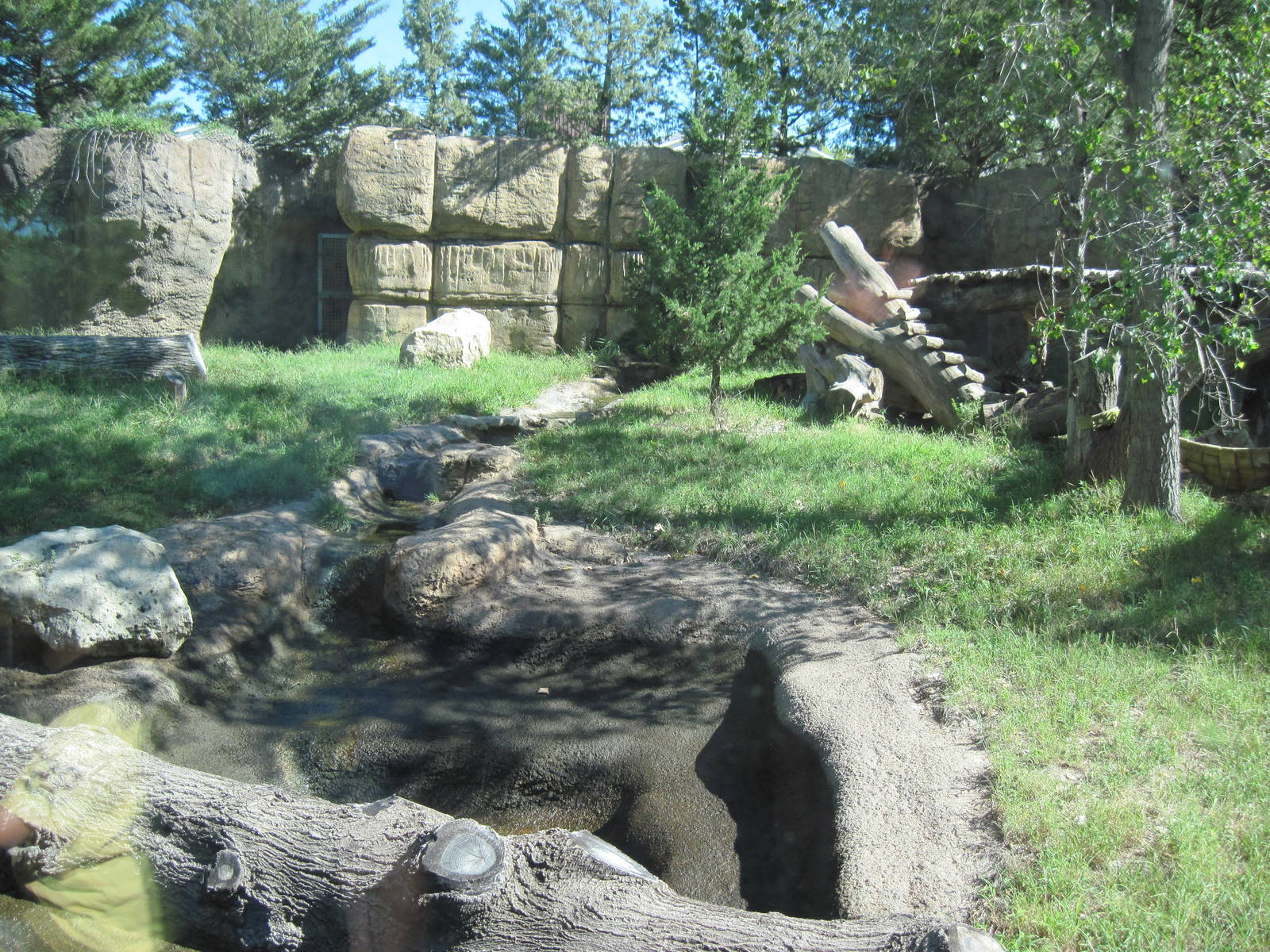 North America-American Black Bear Exhibit