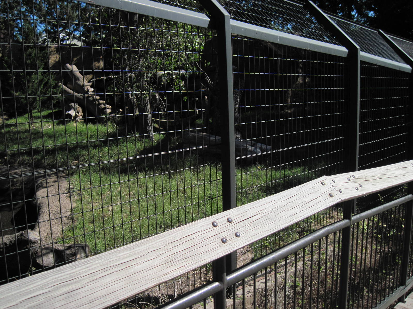 North America-American Black Bear Exhibit