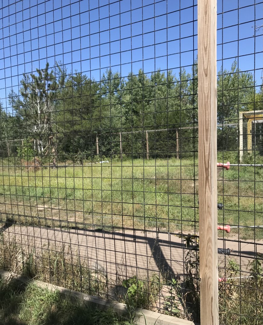 “North America”- American black bear exhibit
