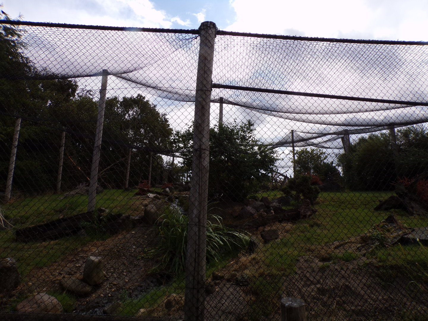 North America- Arctic fox enclosure (empty) 13.7.23