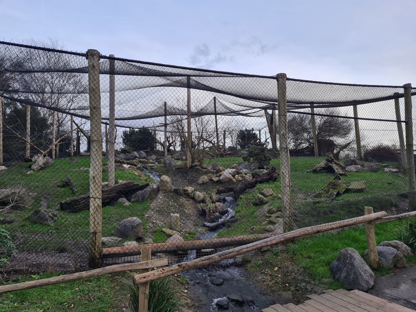 North America - Arctic fox enclosure