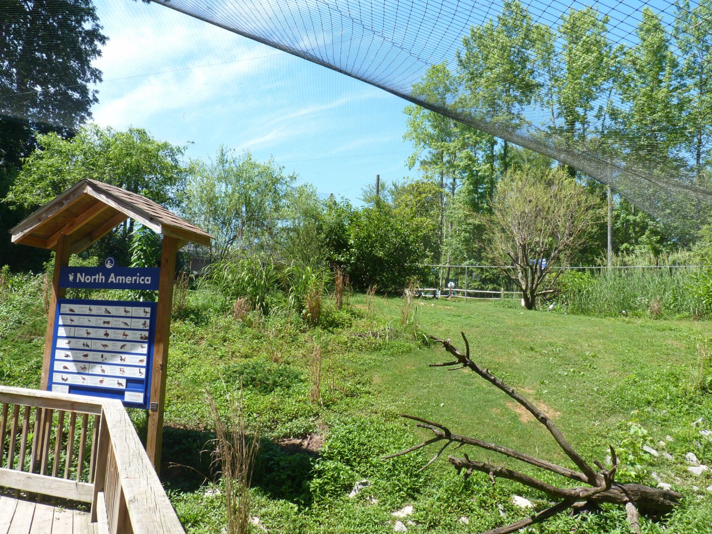 North america avairy