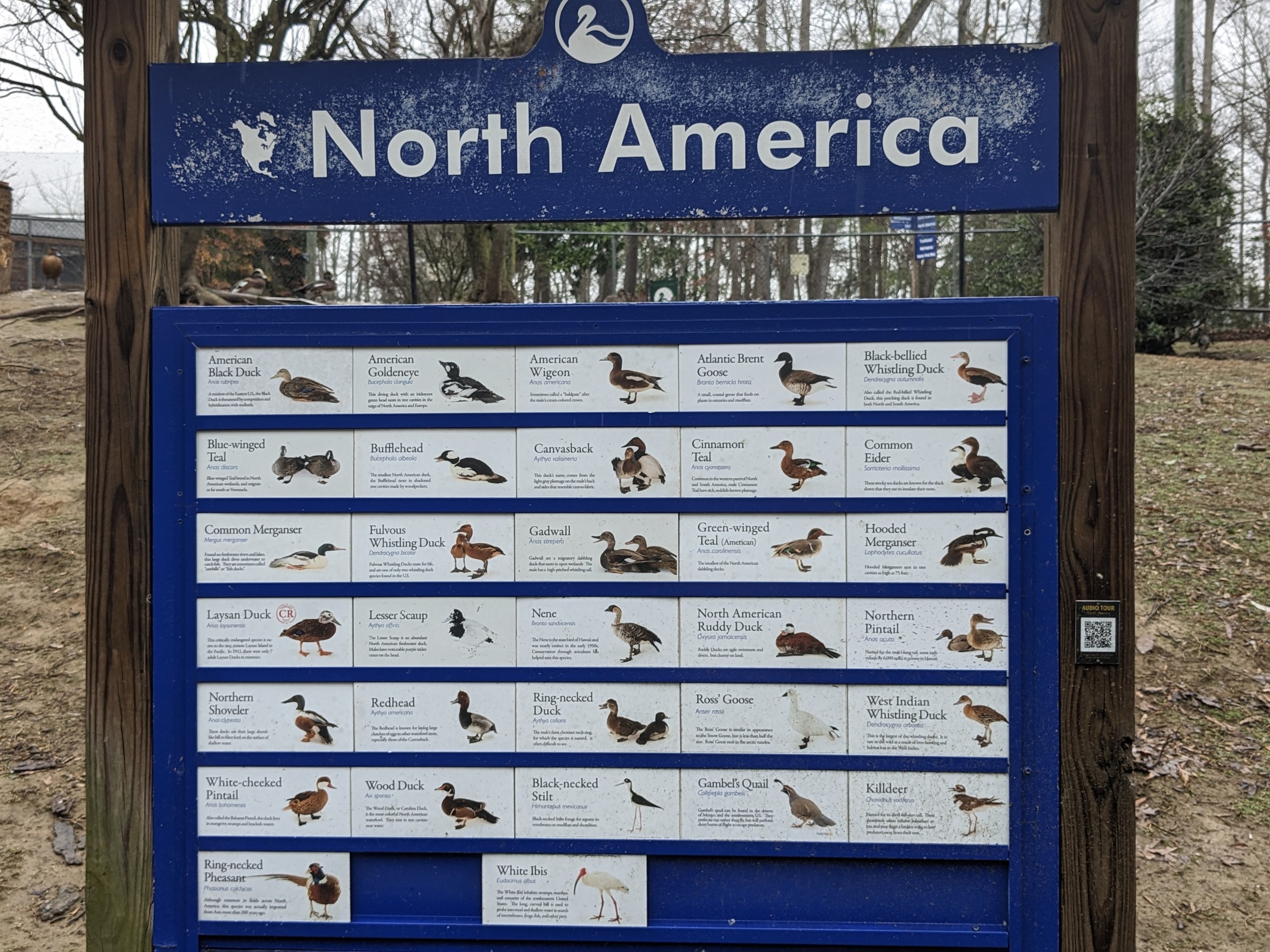 North America Aviary - main sign