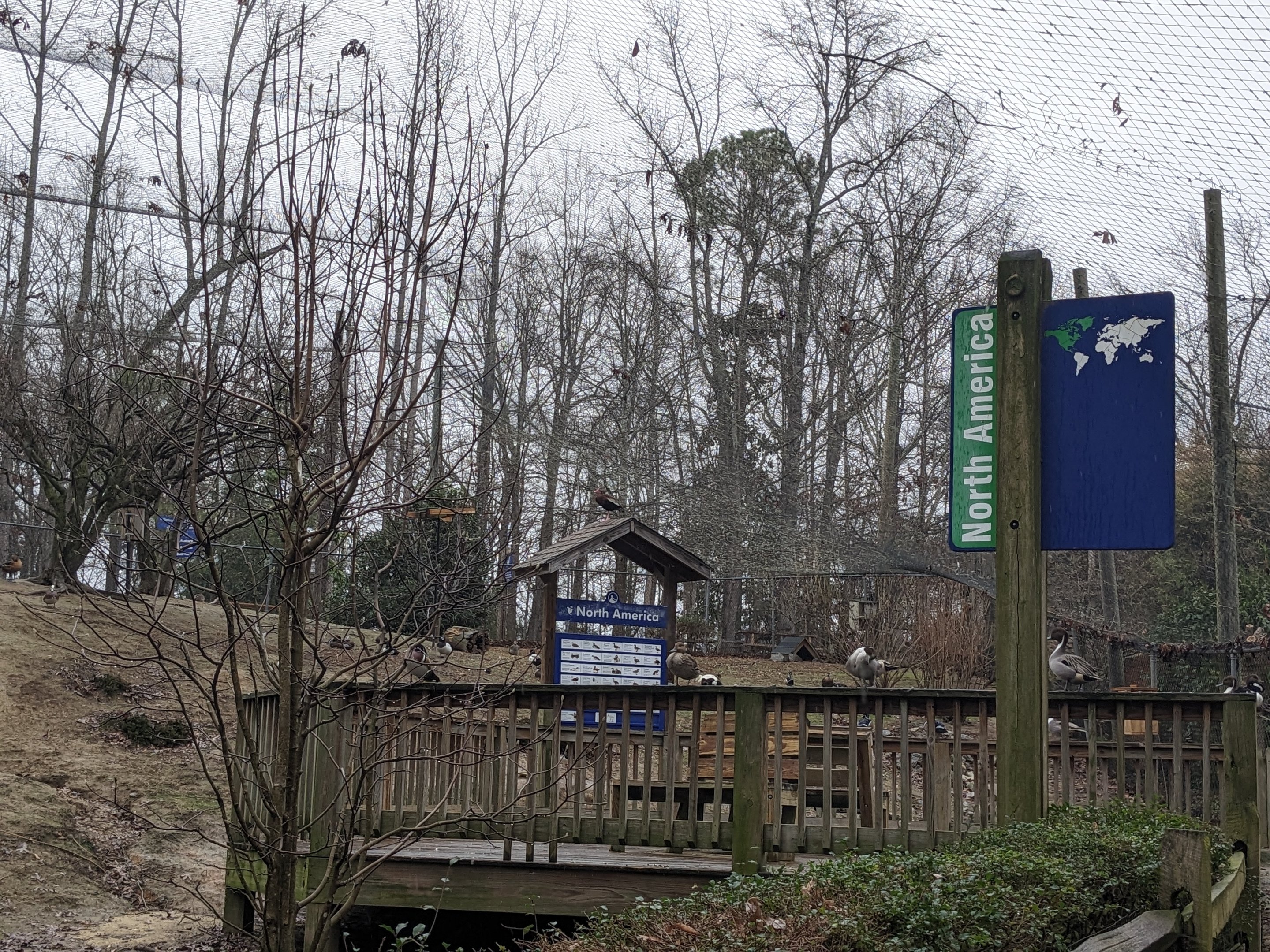 North America Aviary - walkway and view