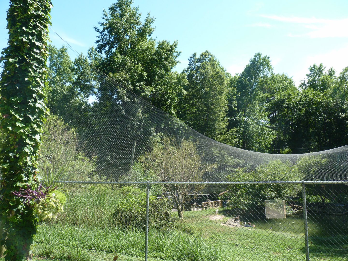 North america aviary
