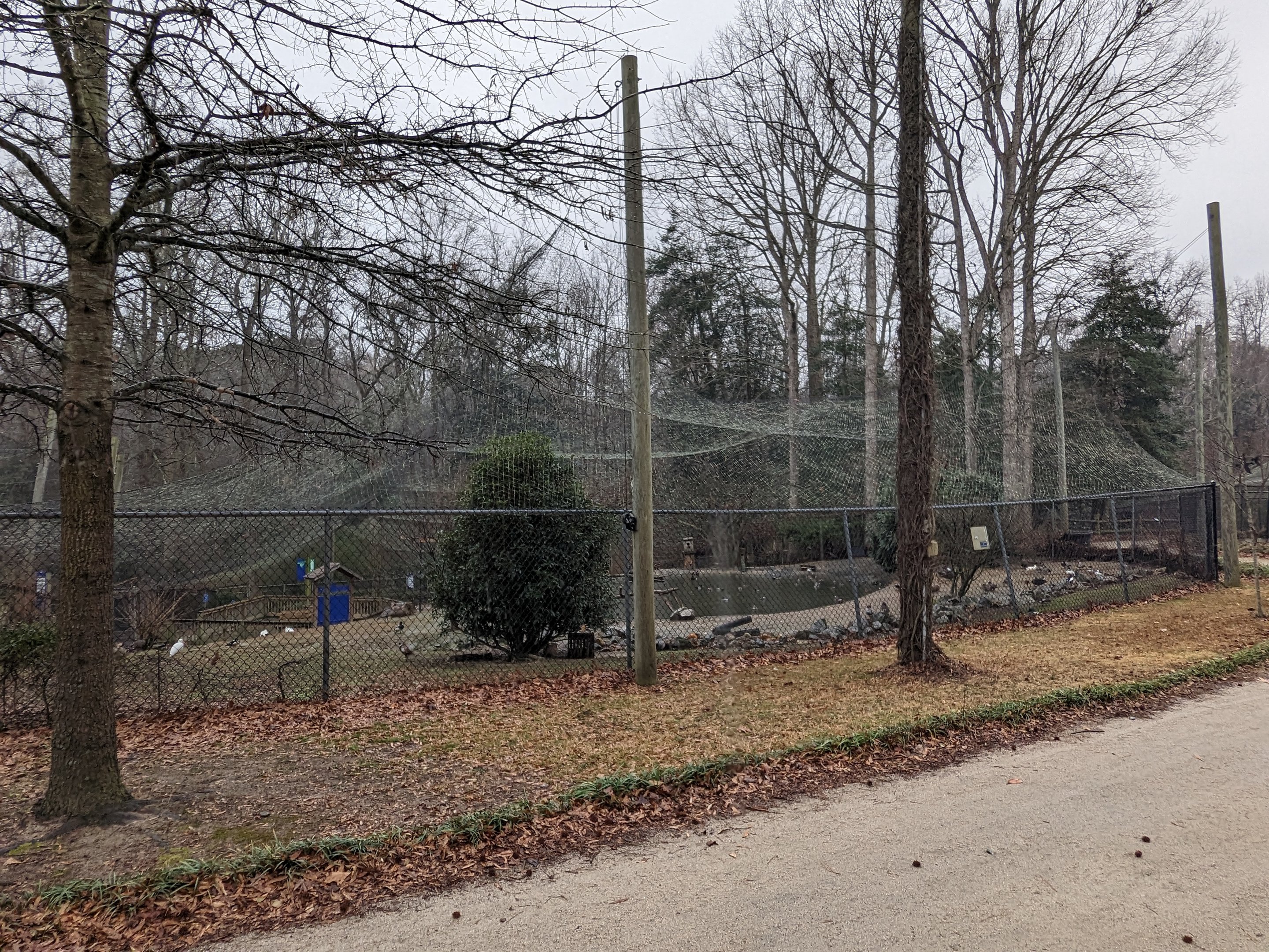 North America Aviary