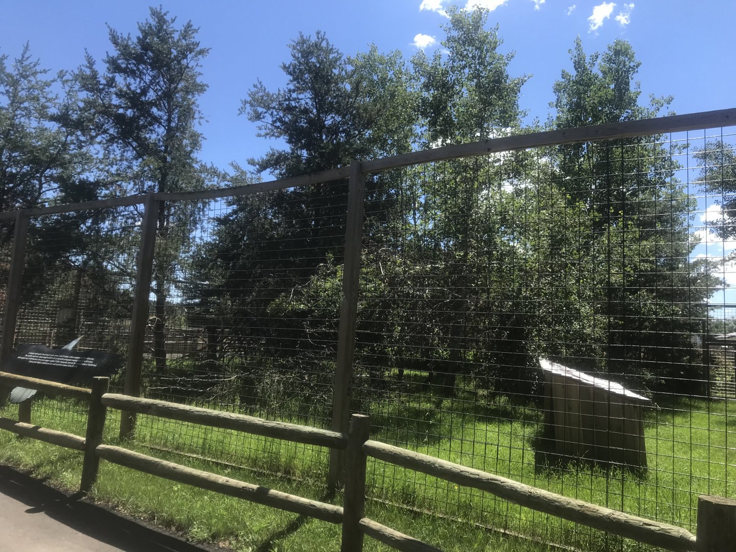 “North America” - Bald Eagle Exhibit