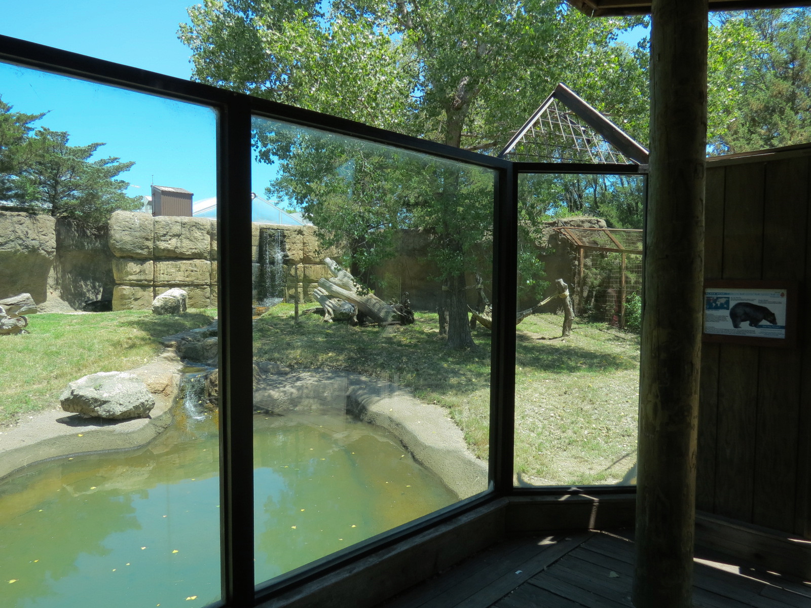 North America - Black Bear Exhibit