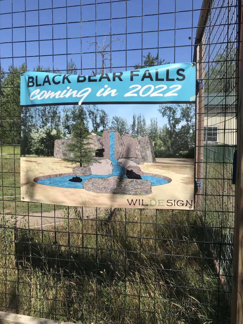 “North America” “black bear falls” exhibit render