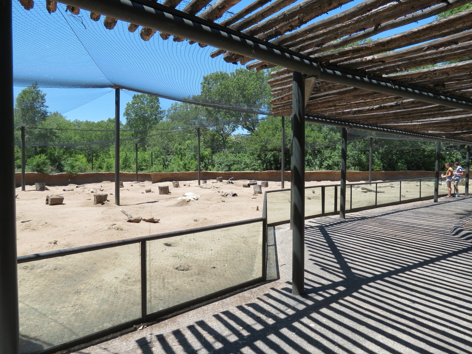 North America - Black-tailed Prairie Dog Exhibit