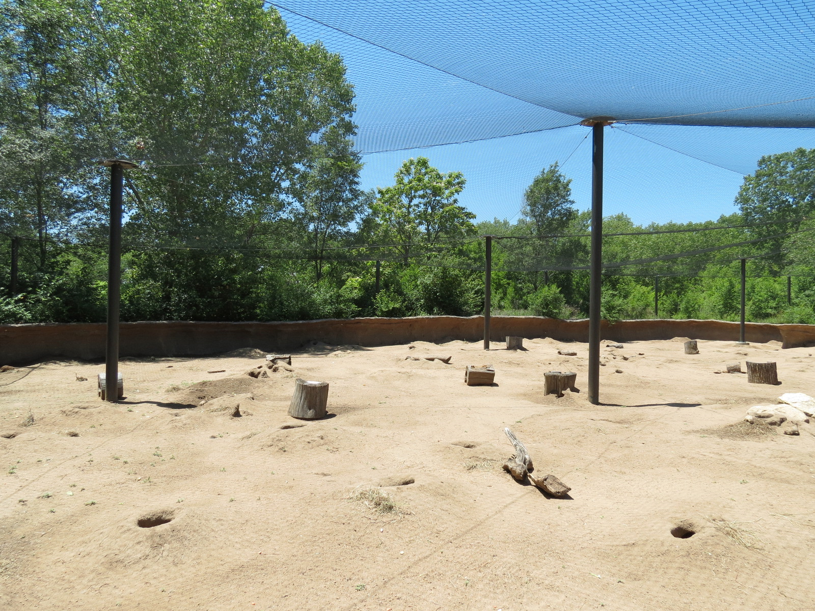 North America - Black-tailed Prairie Dog Exhibit