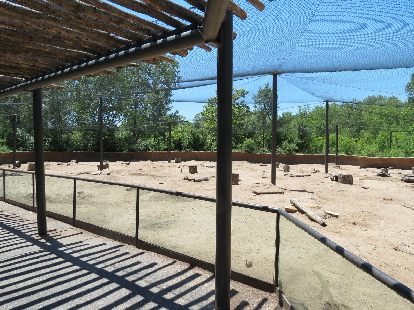 North America - Black-tailed Prairie Dog Exhibit