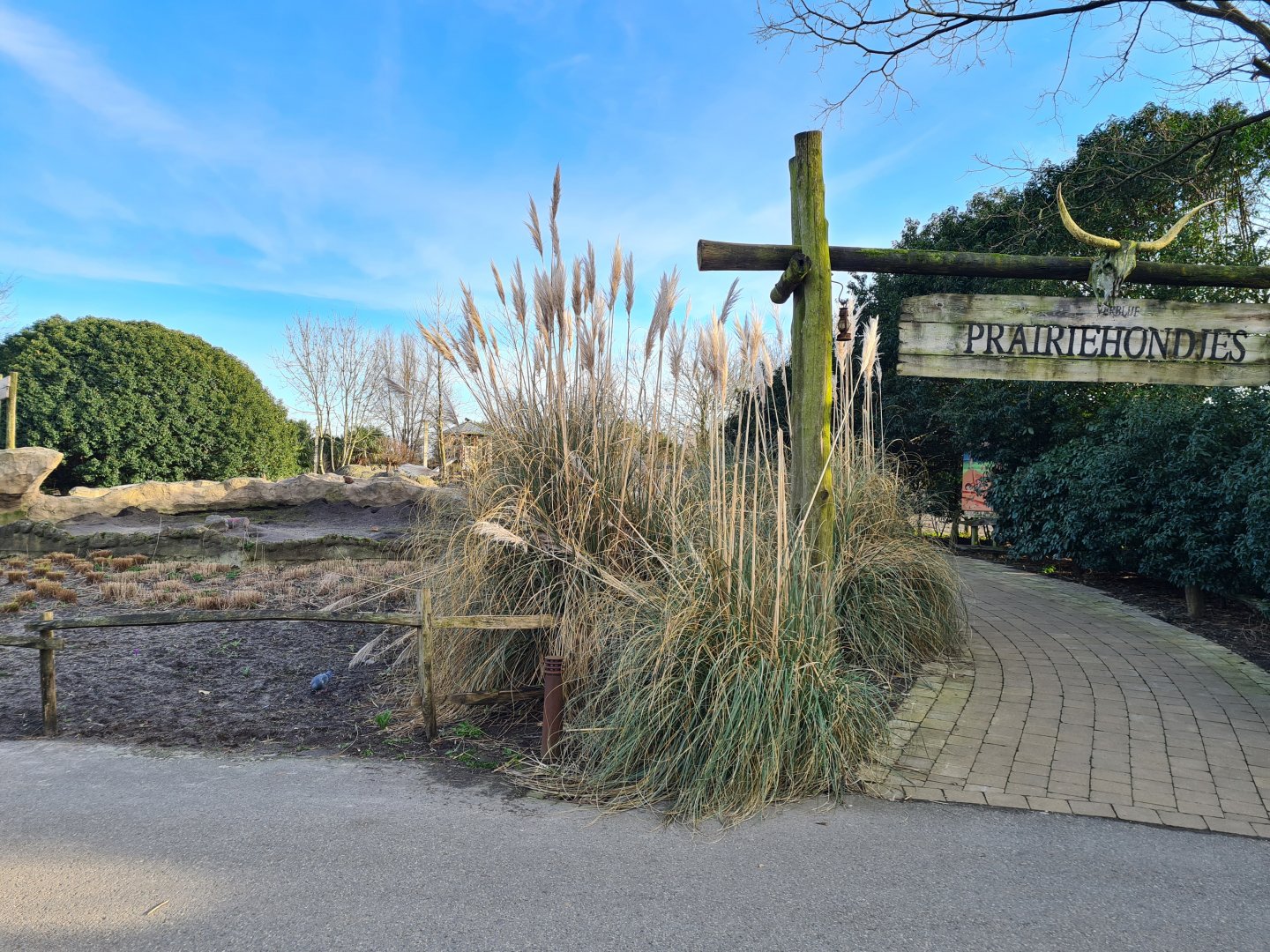 North America - Black-tailed prairiedog area
