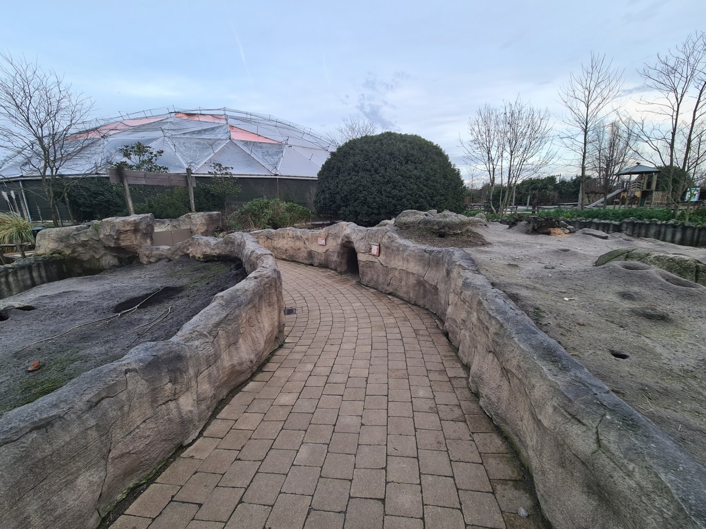 North America - Black-tailed prairiedog enclosure
