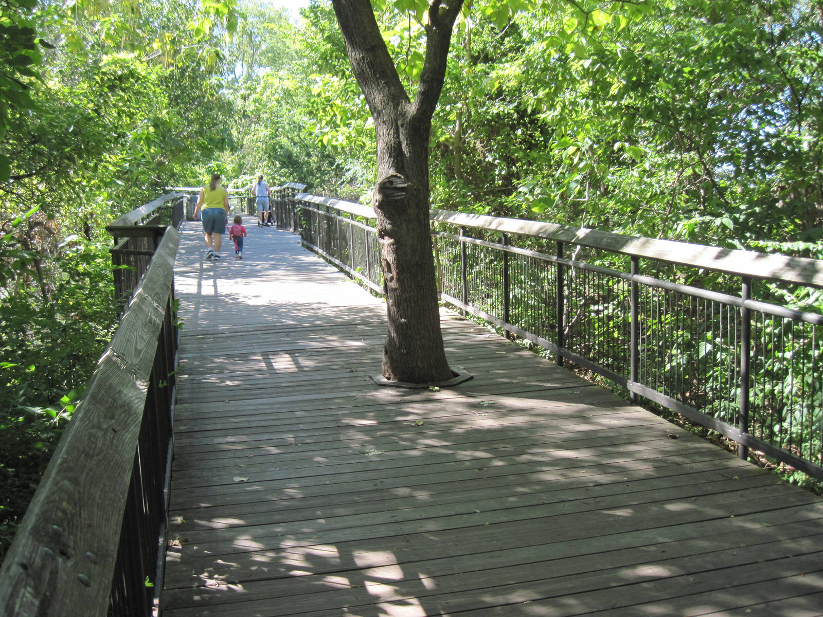 North America-Boardwalk