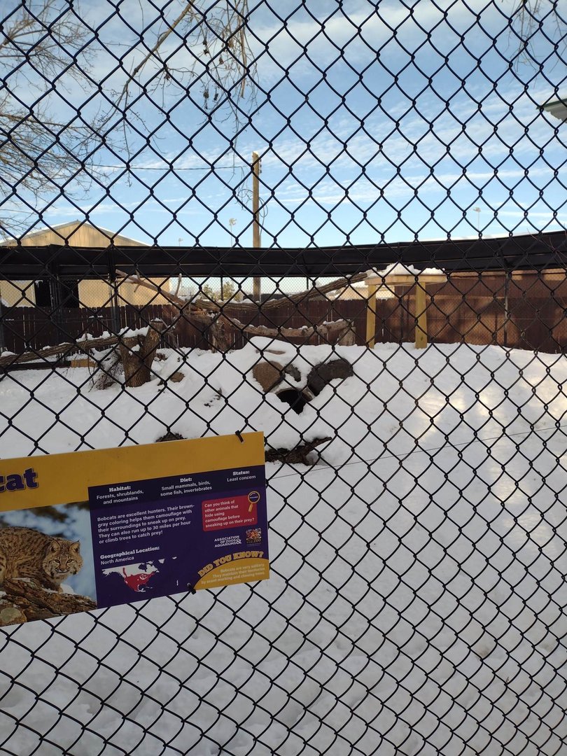 North America- Bobcat habitat