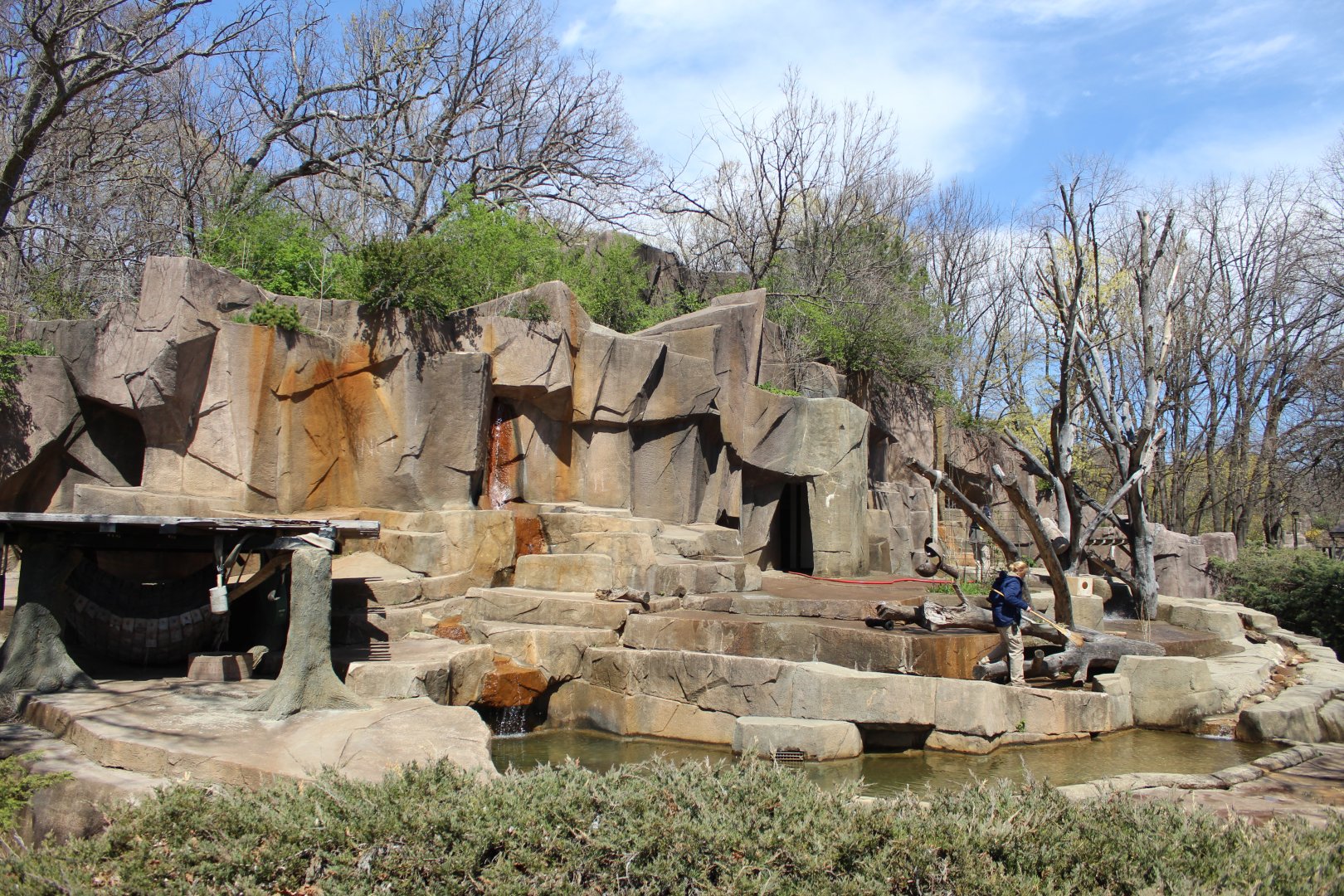 North America - Brown Bear Exhibit