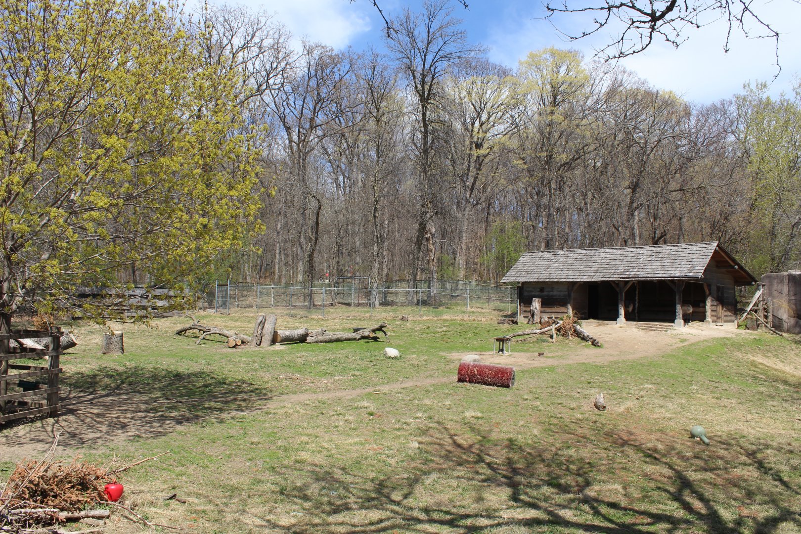 North America - Caribou Exhibit