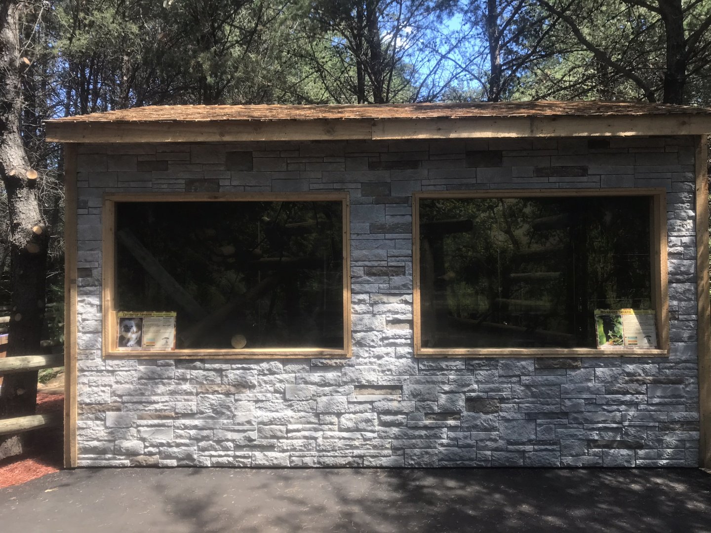 “North America” - Cotton-Topped Tamarin/Red-Hander Tamarin Exhibits