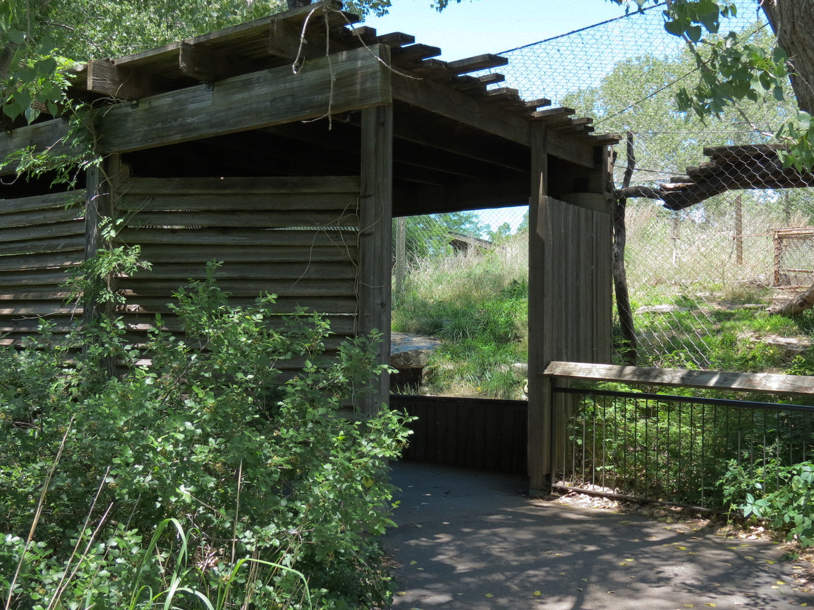 North America - Cougar Exhibit Viewing Shelter