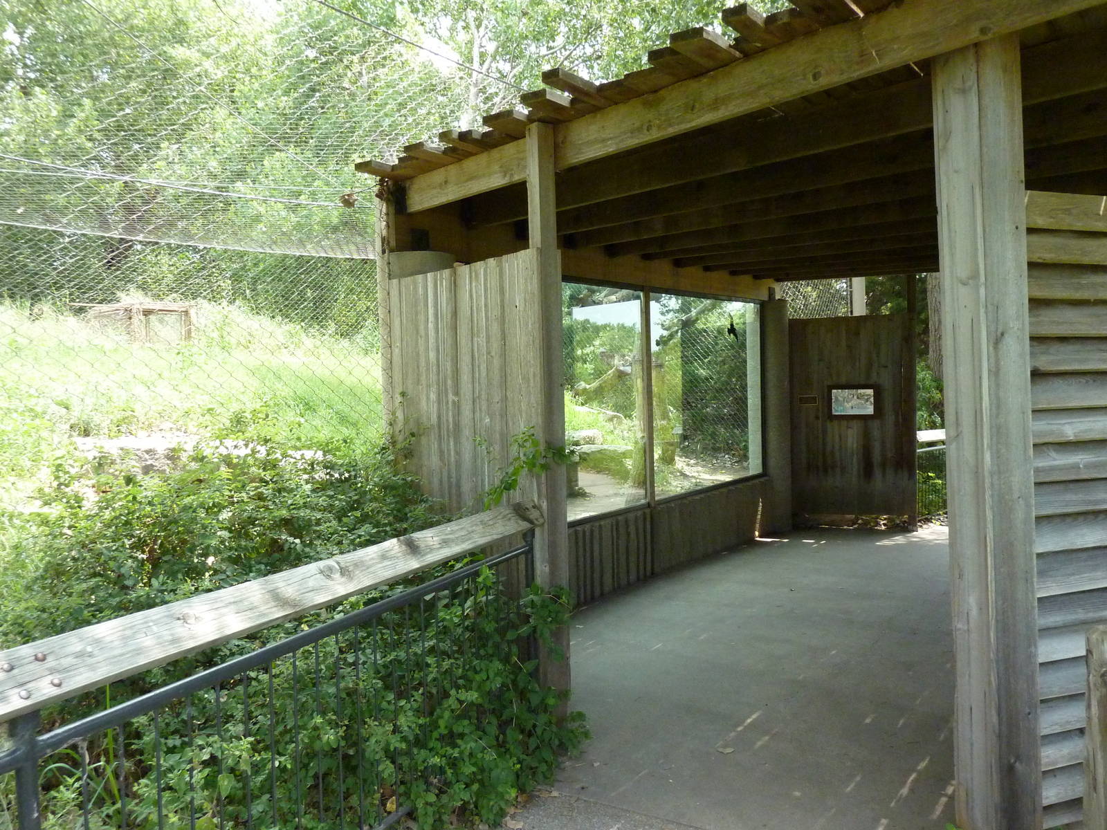 North America - Cougar Exhibit