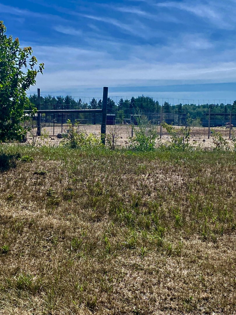 “North America”- domestic horse exhibit
