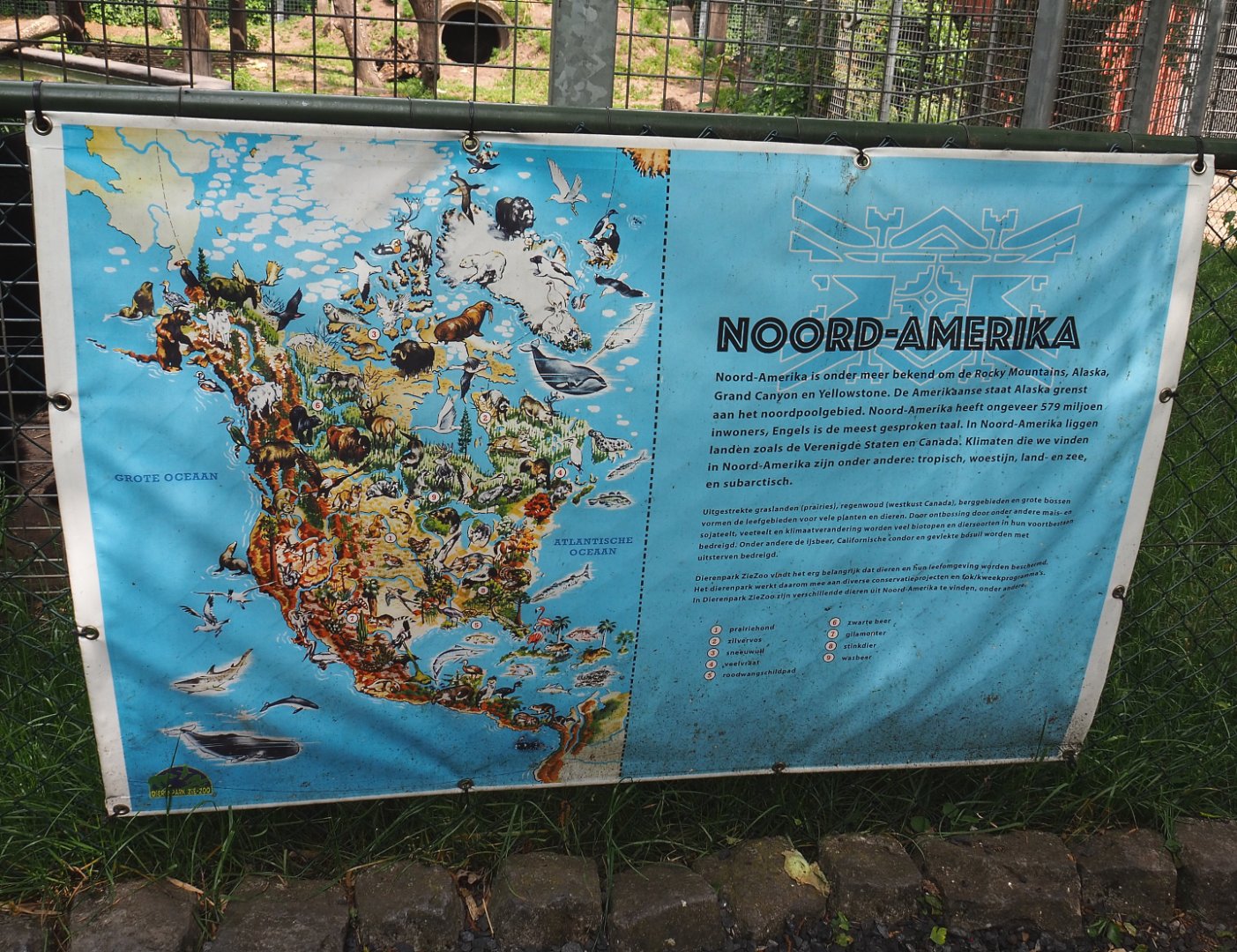 North America education signage with species drawings, 2022-05-17