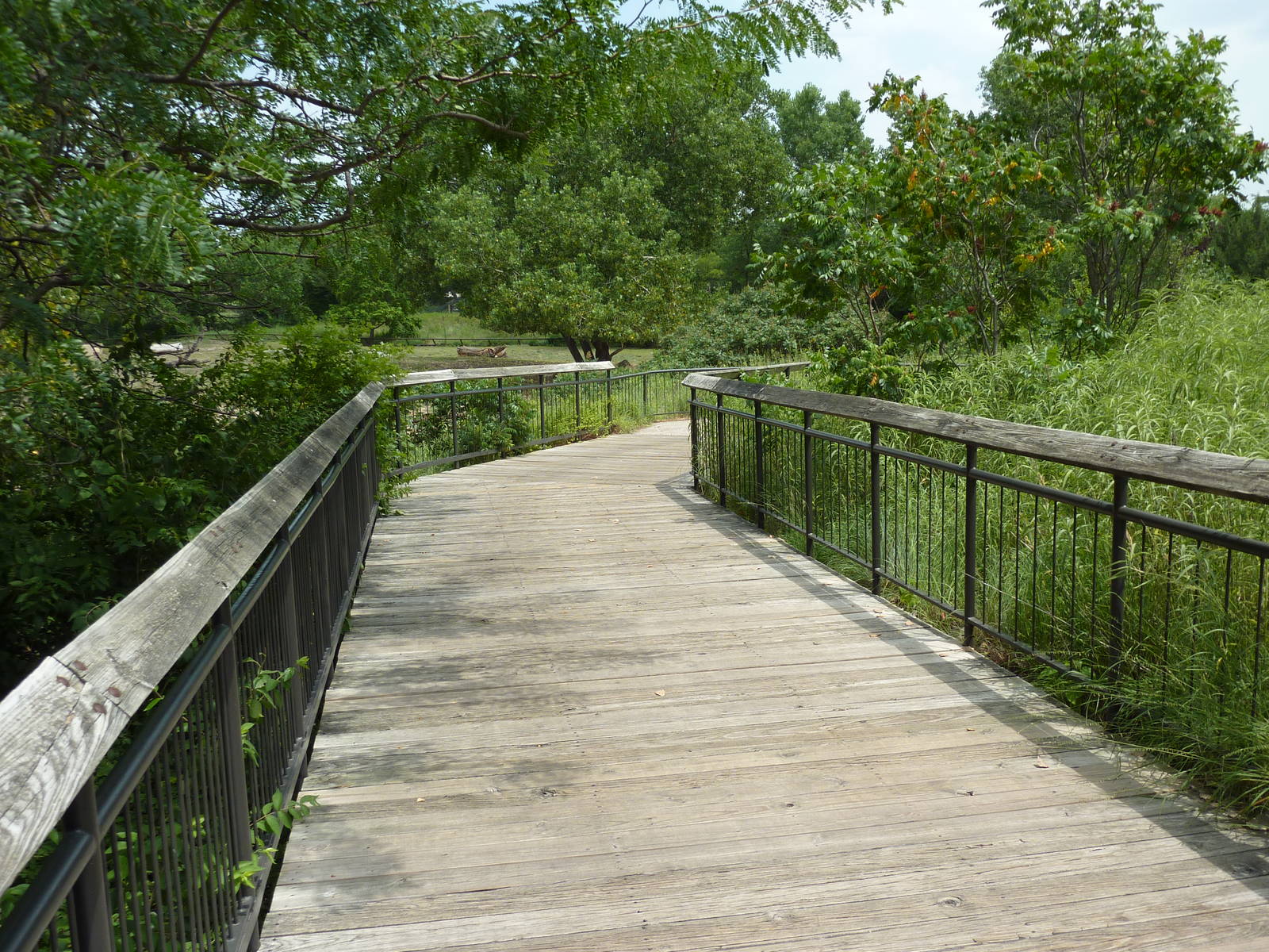 North America - Elevated Boardwalk