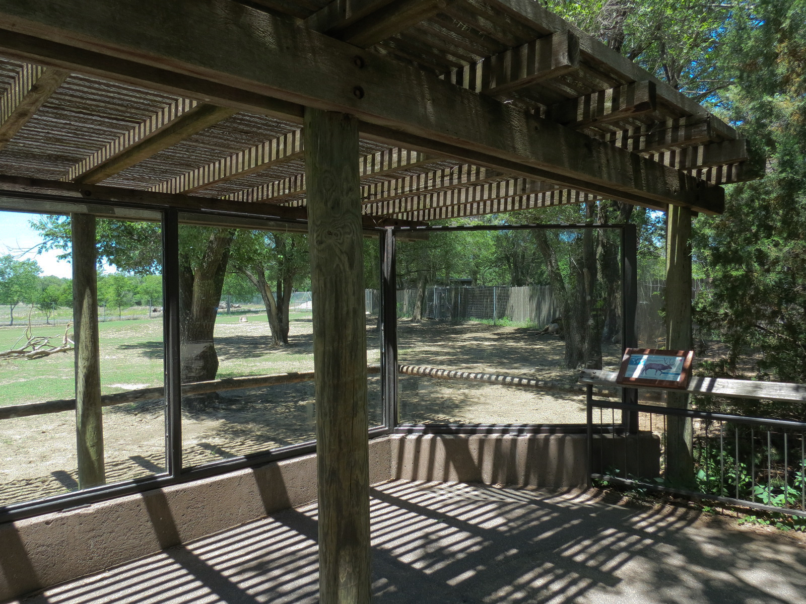North America - Elk Exhibit