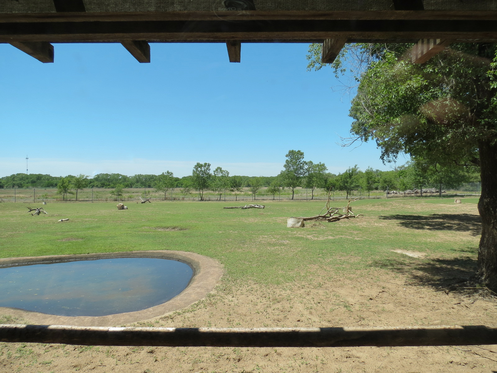 North America - Elk Exhibit