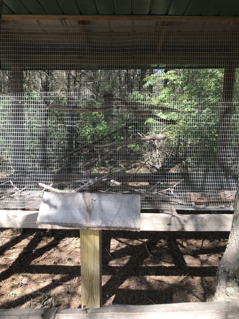 “North America”- empty exhibit