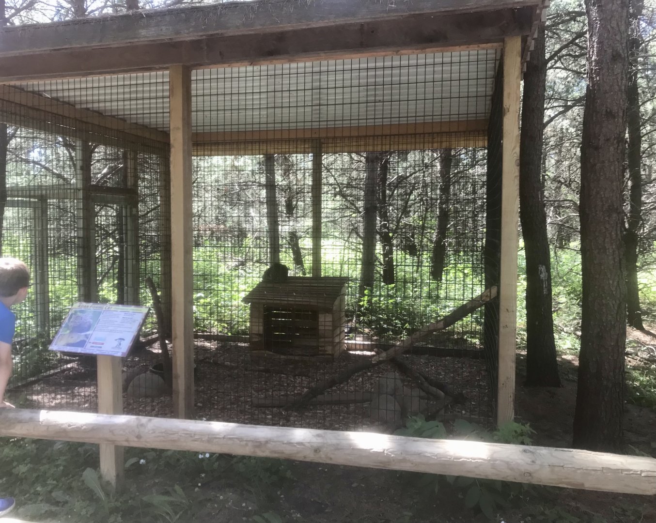 “North America” - Fishing Cat Exhibit
