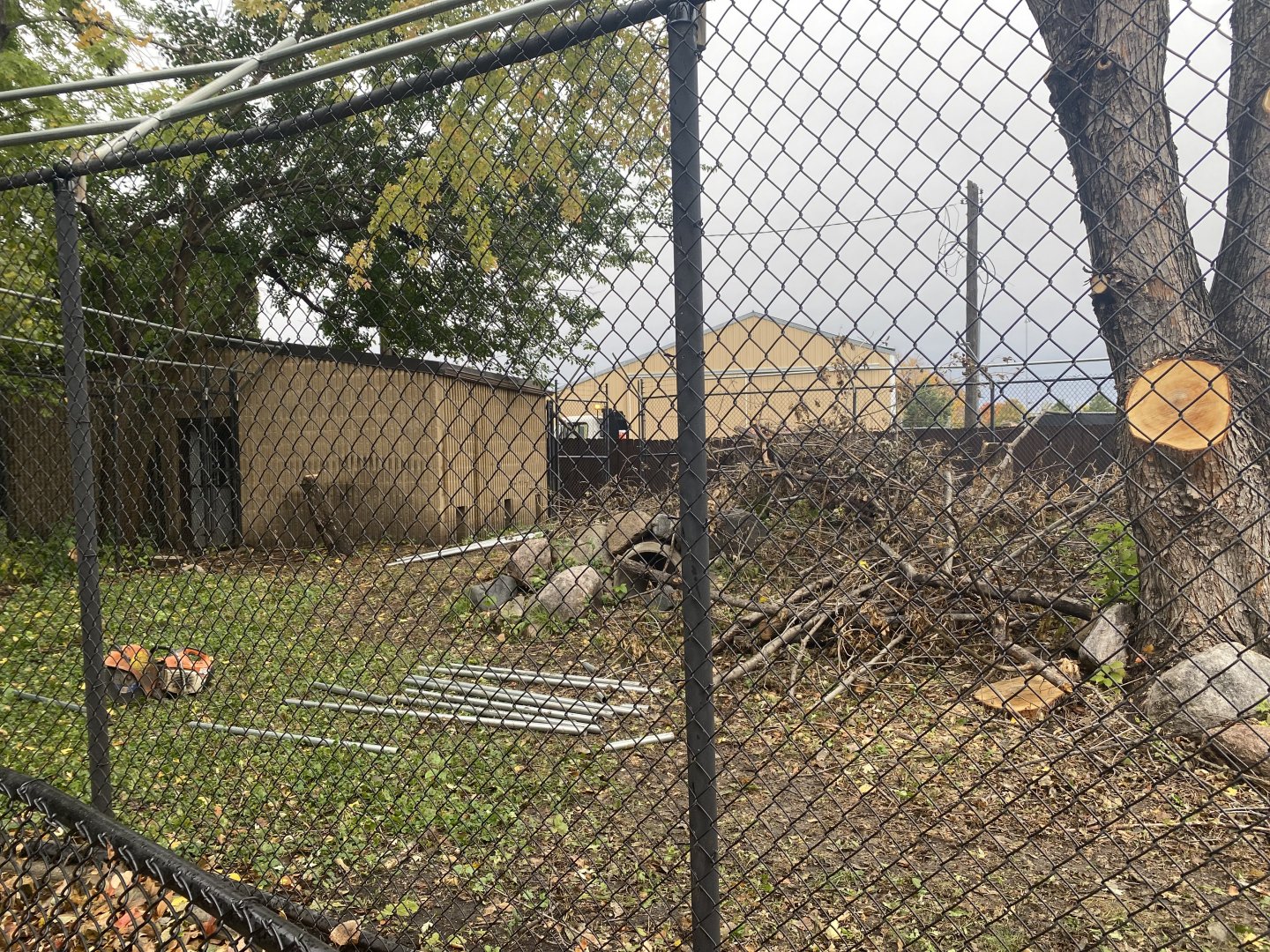 North America - Former Giant Anteater Exhibit