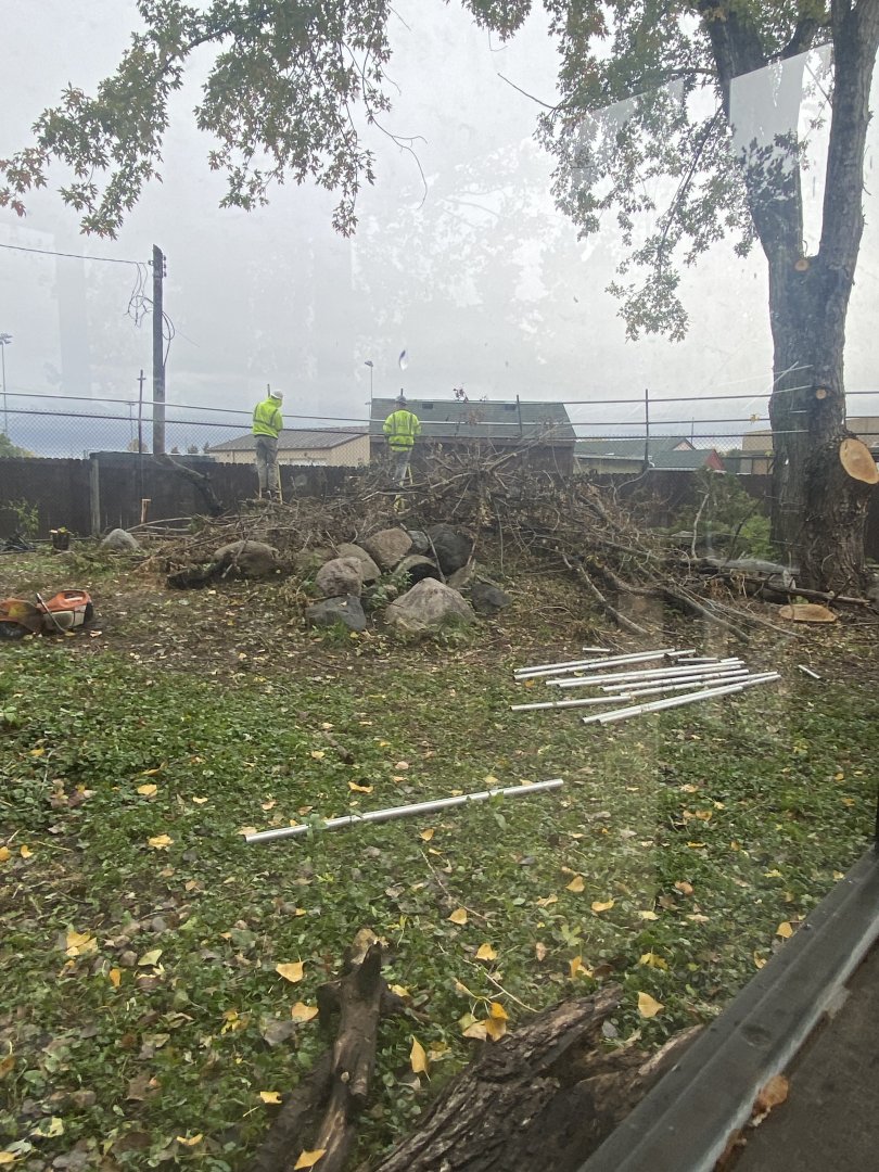 North America- Former Giant Anteater Exhibit