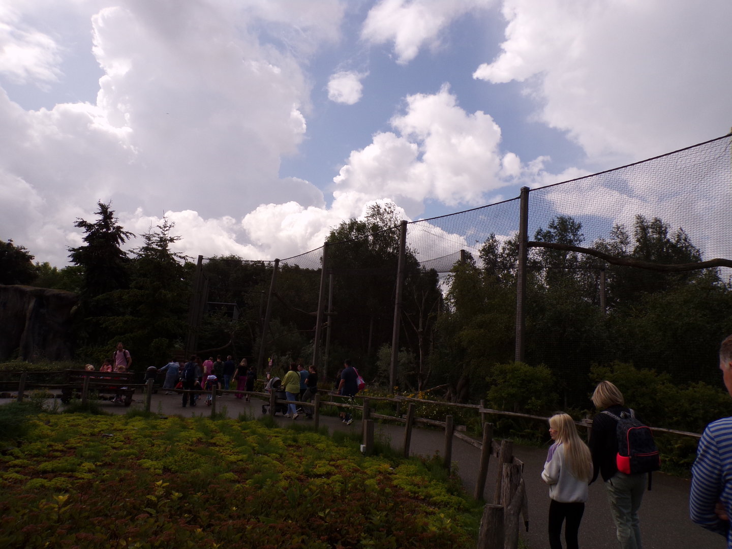 North America- General view 13.7.23