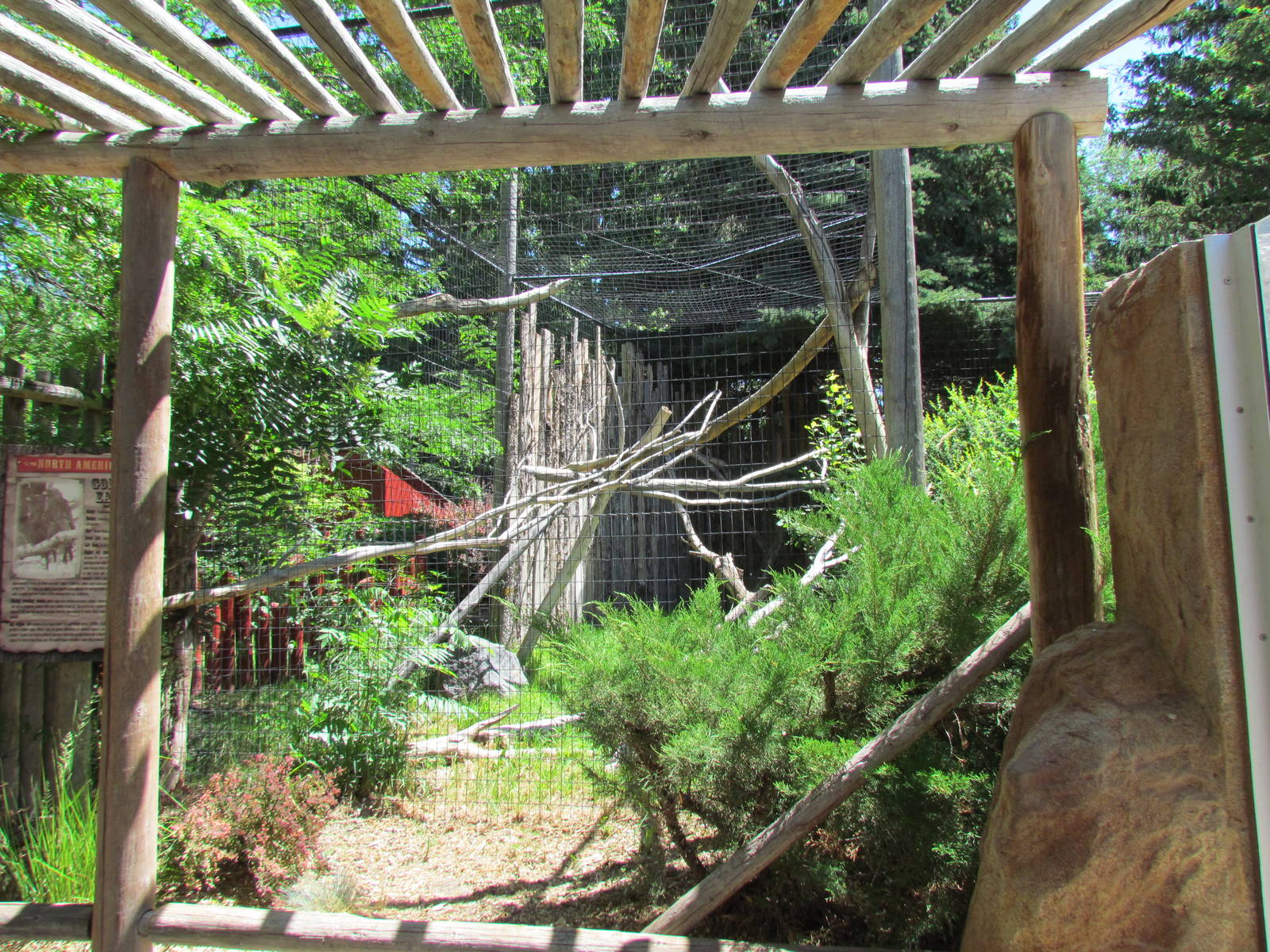 North America - Golden Eagle Aviary