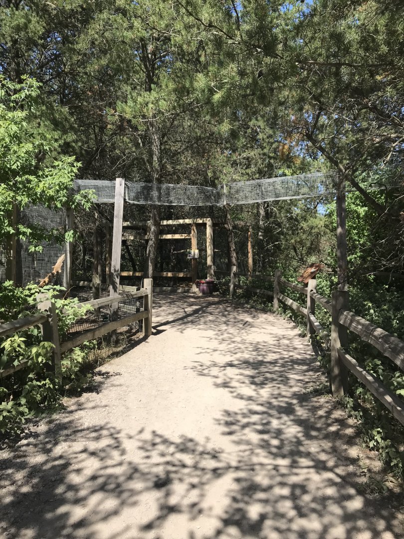 “North America”- gray squirrel exhibit