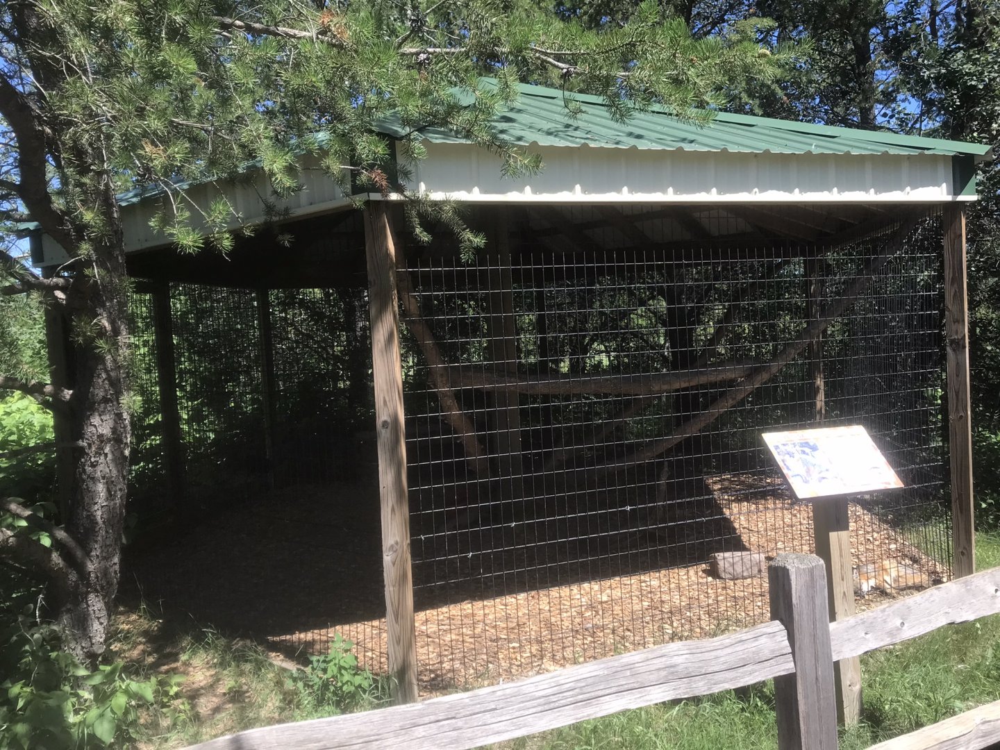 “North America” - Grey Fox Exhibit