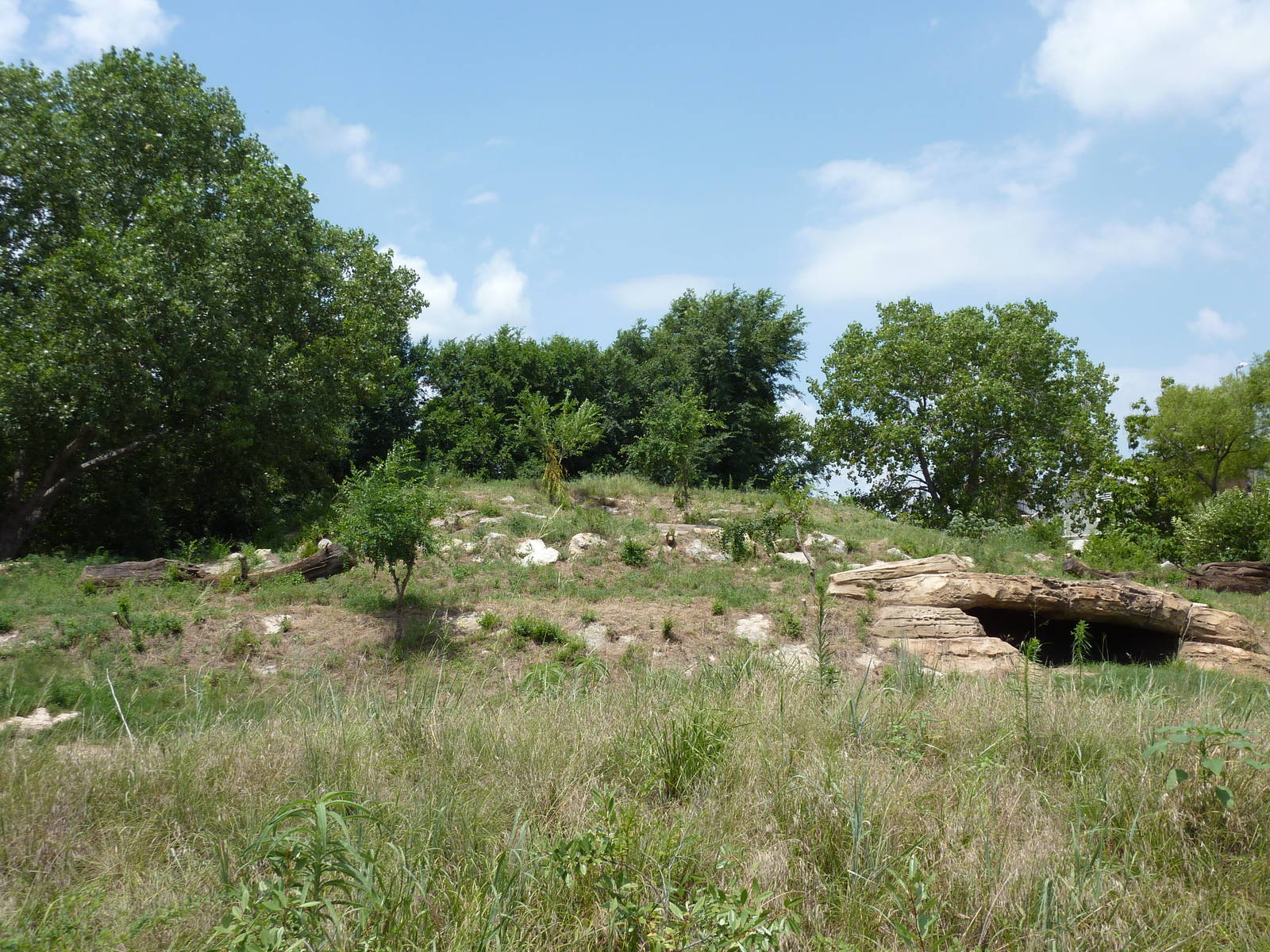 North America - Grizzly Bear Exhibit