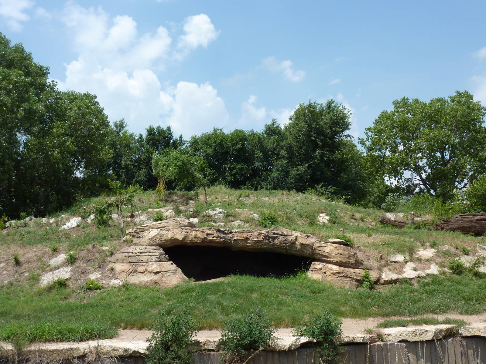 North America - Grizzly Bear Exhibit