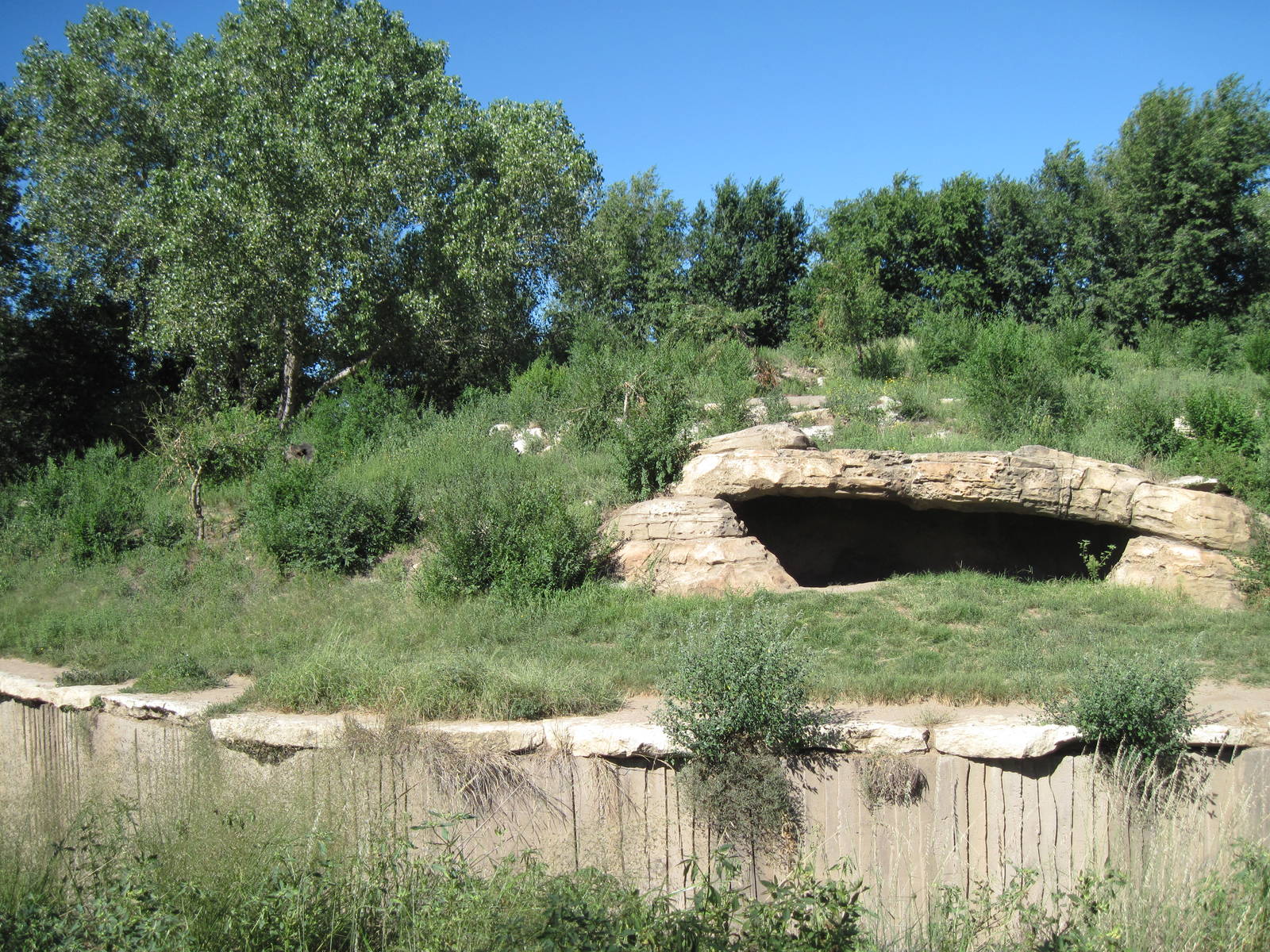North America-Grizzly Bear Exhibit