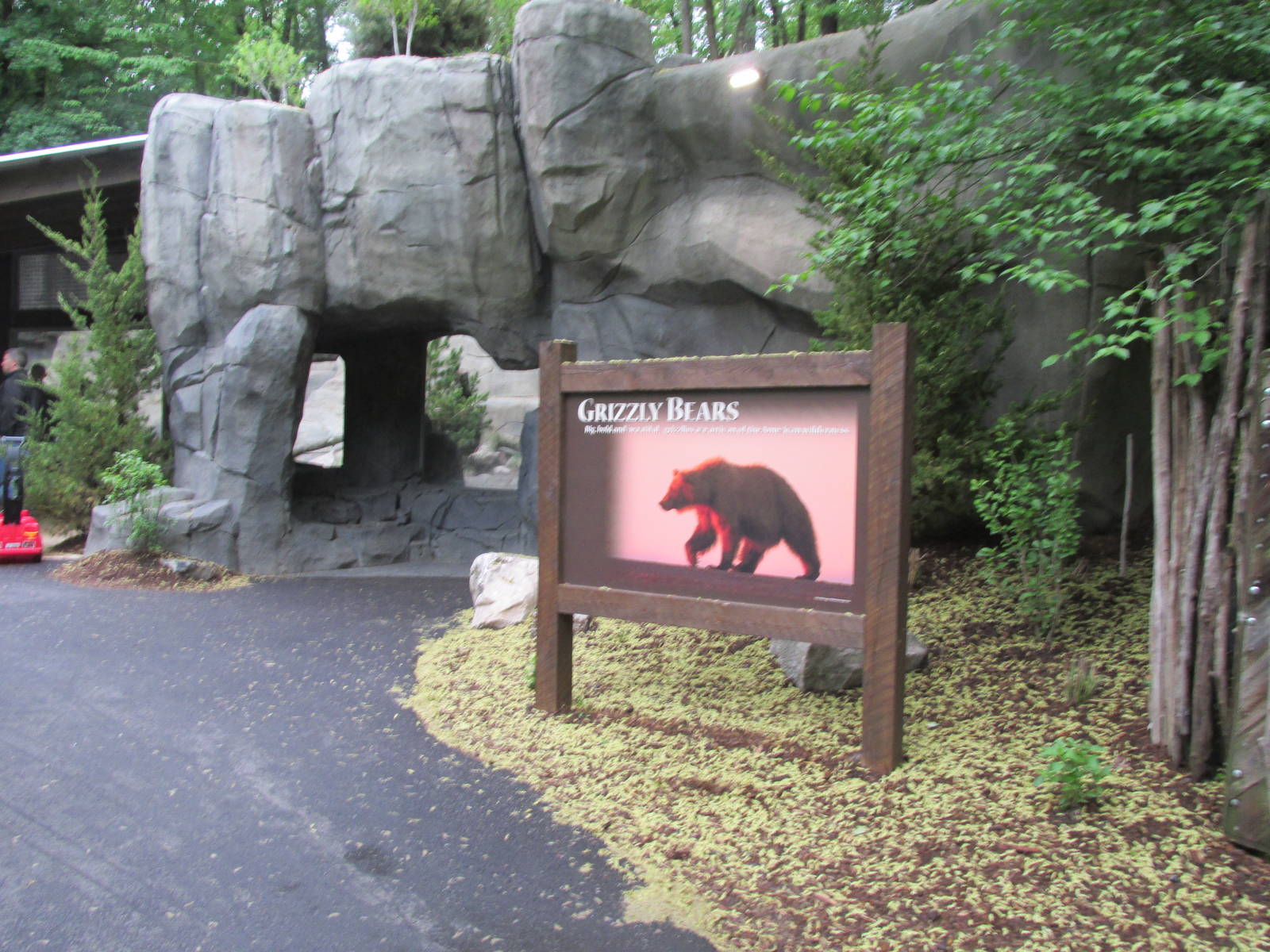 North America Grizzly Bear Exhibit