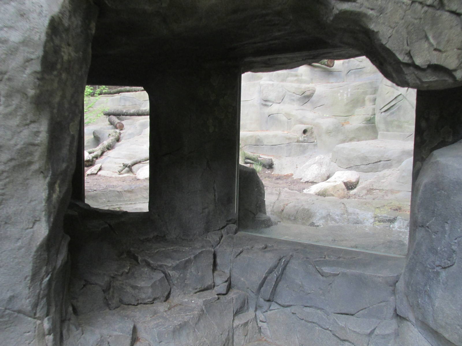 North America Grizzly Bear Exhibit